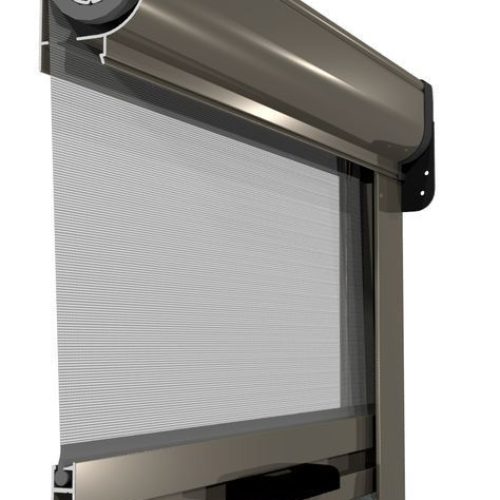 WhatsApp Image 2026-02-10 at 19.24.48